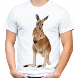 Koszulka z kangurem