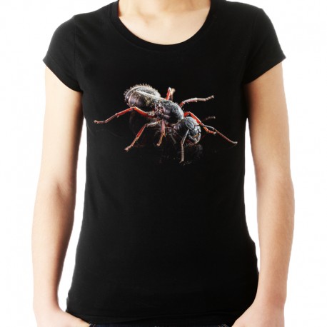 Koszulka z mrówką damska