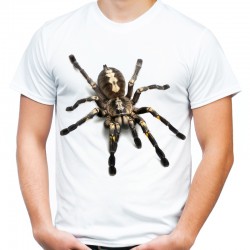 Koszulka z pająkiem Tarantula Włoska