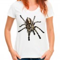 Koszulka z pająkiem Tarantula 