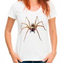 Koszulka z pająkiem domowym