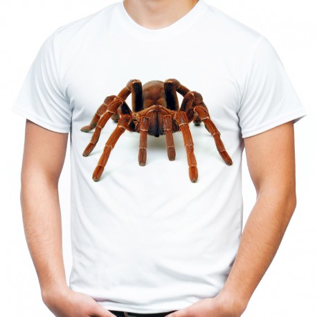 Koszulka z pająkiem Pawian Tarantula