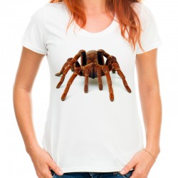Koszulka z pająkiem pawian tarantula