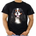 Koszulka z Cavalierem psem