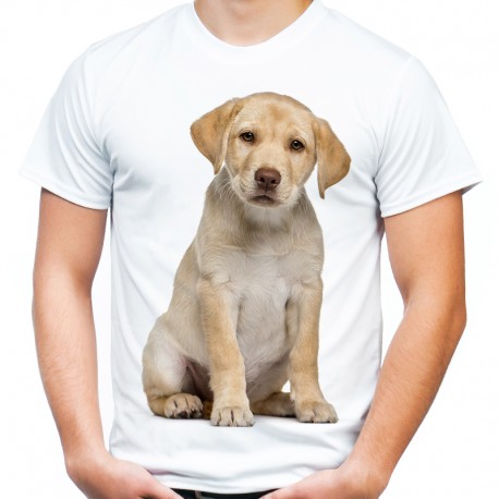 Koszulka męska z Labradorem