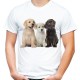Koszulka męska w Labradory