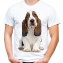 Koszulka męska z psem Bassetem